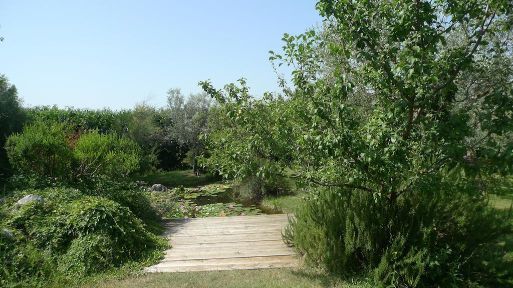 Bed and Breakfast Le Ninfee Cassino Exterior foto